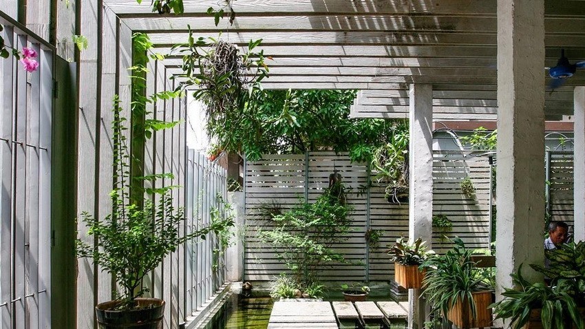 Wood Canopy with Plants